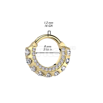 Implant Grade Titanium Hinged Segment Hoop Ring With CNC Forward Facing... - Image 4