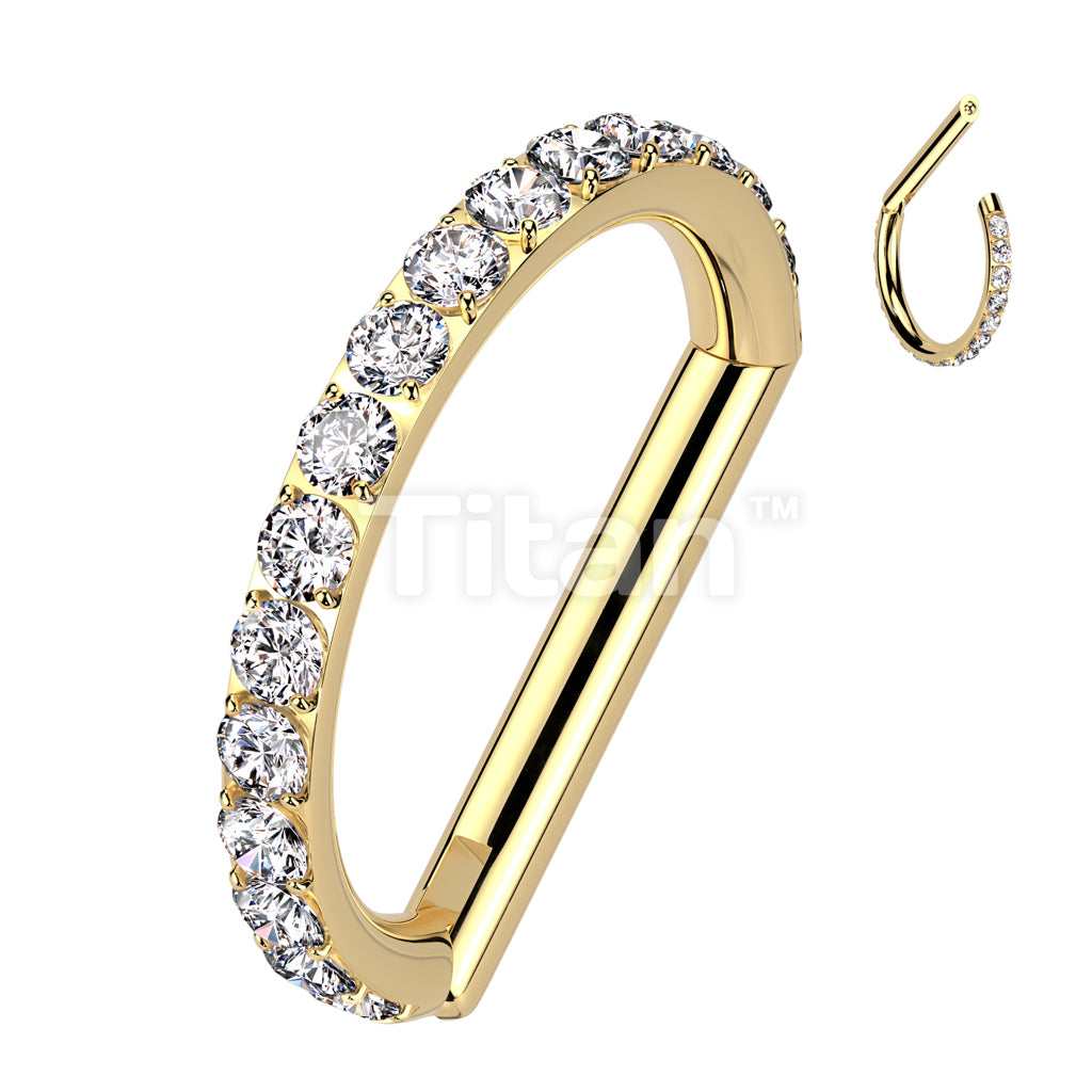 Implant Grade Titanium D Shaped Hinged Segment Ring With Outward Facing CNC CZ Set  - Image 3