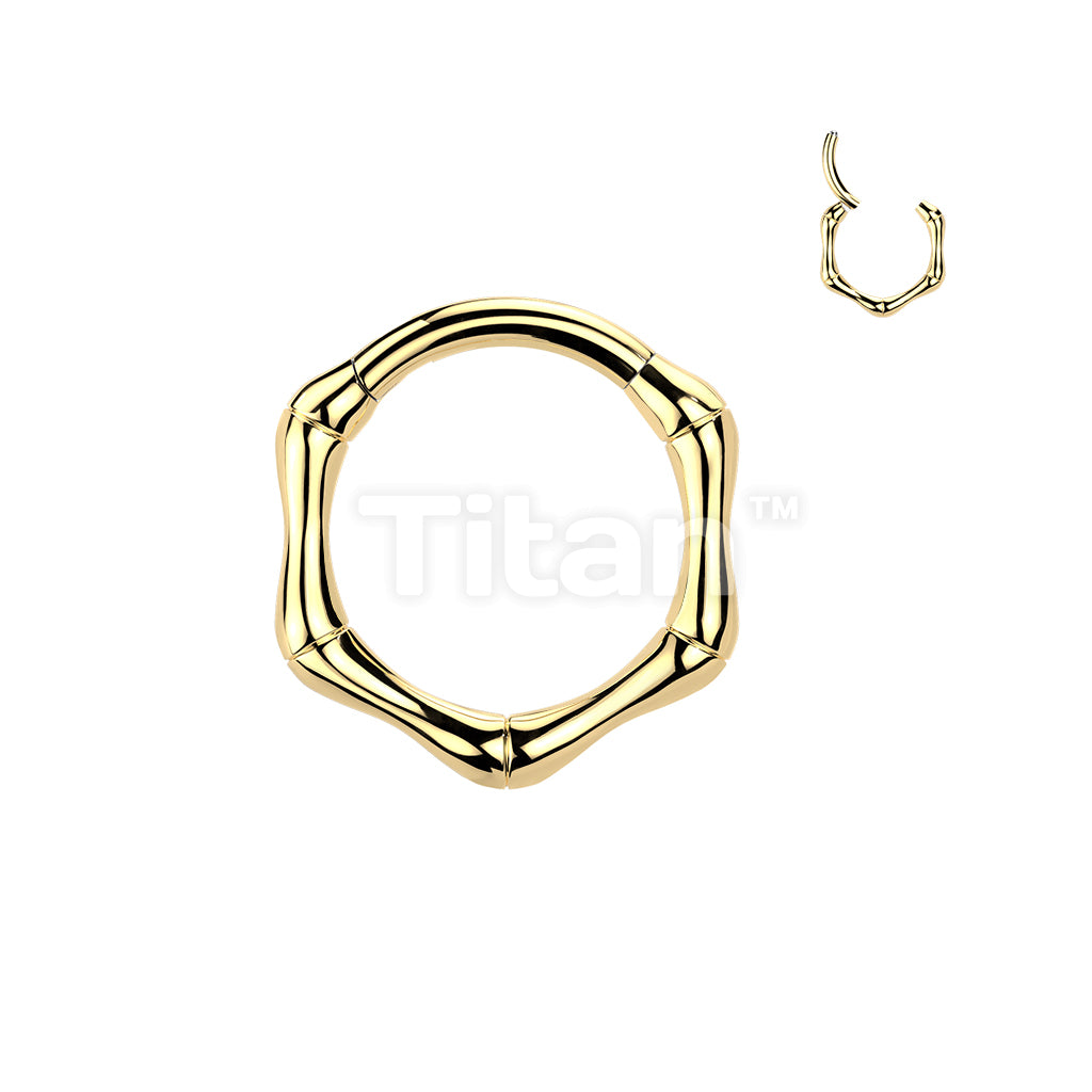 Titanium Hinged Bone Segment Hoop Ring - Image 2