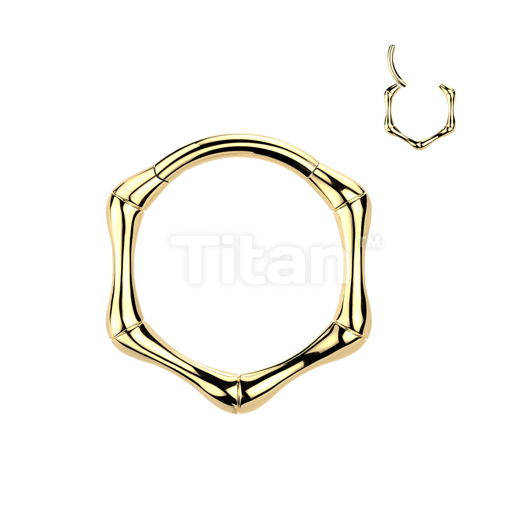 Titanium Hinged Bone Segment Hoop Ring - Image 4