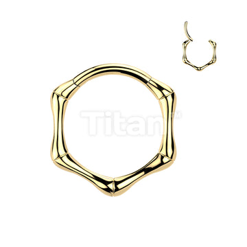 Titanium Hinged Bone Segment Hoop Ring - Image 4
