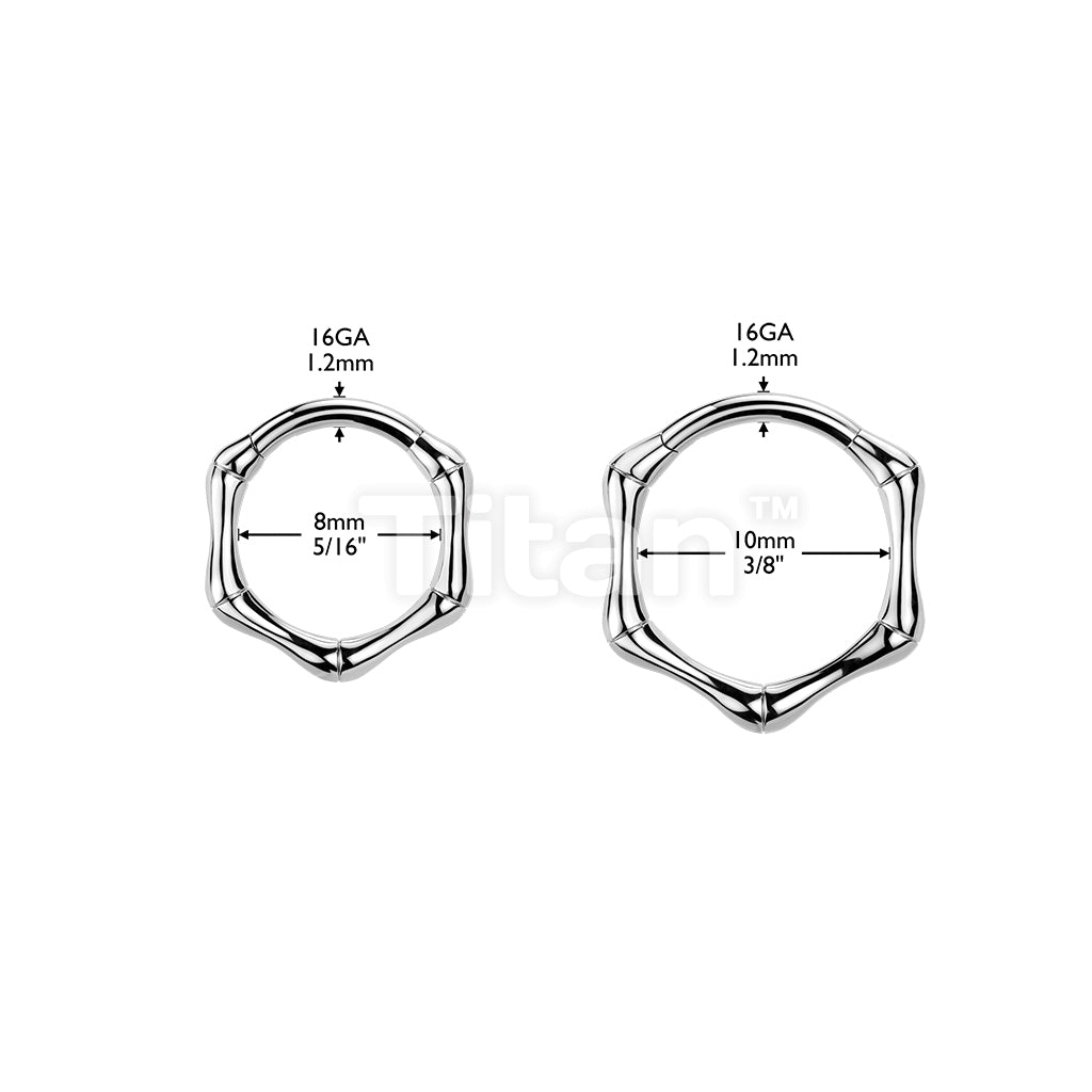 Titanium Hinged Bone Segment Hoop Ring - Image 6