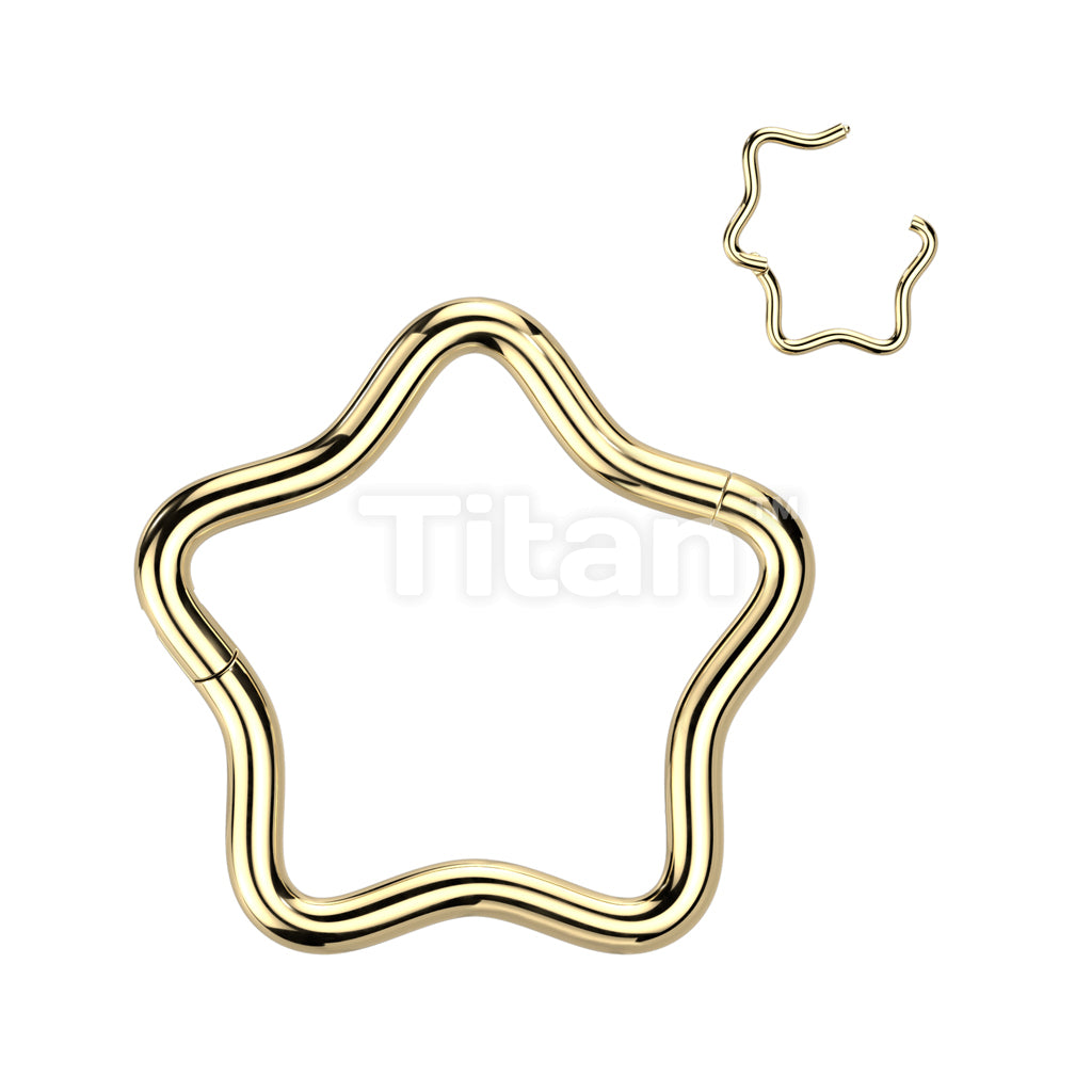 ASTM F136 Titanium Implant Grade Titanium Star Hinged Segment Hoop Ring - Image 2