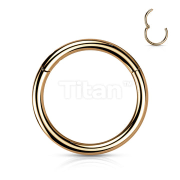 Implant Grade Titanium PVD Plated Hinged Segment Hoop Ring - Image 8