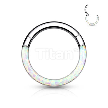 ASTM F136 Titanium Implant Grade Titanium Hinged Segment Hoop Ring With... - Image 4