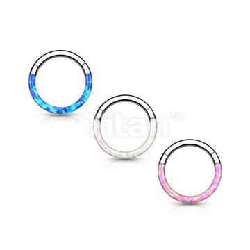 ASTM F136 Titanium Implant Grade Titanium Hinged Segment Hoop Ring With... - Image 7