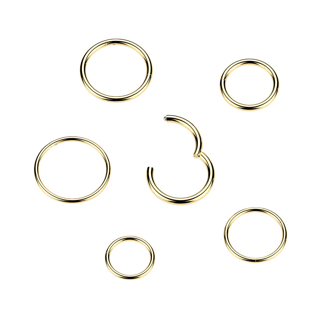 24K Gold PVD Titanium Hinged Segment Hoop Ring