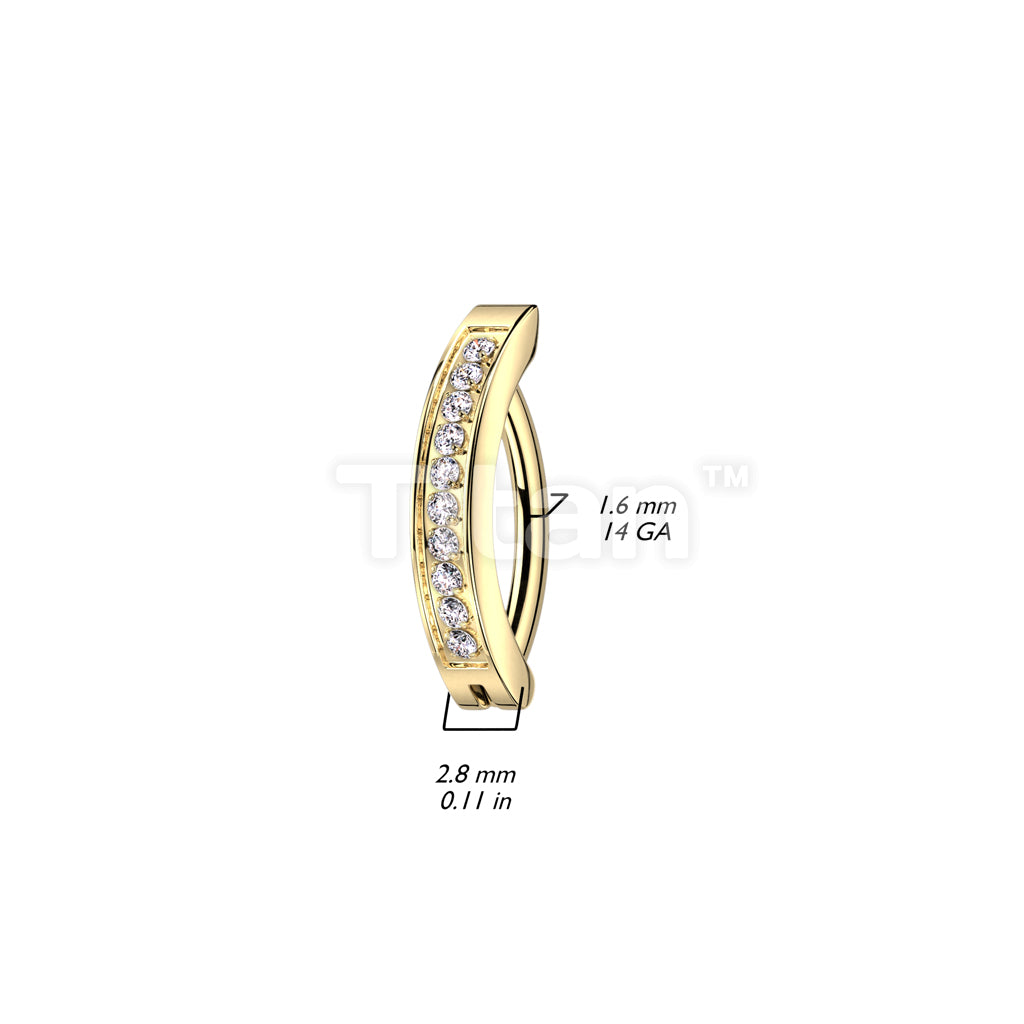 ASTM F136 Titanium Implant Grade Titanium Hinged Hoop With CNC Set CZ... - Image 6