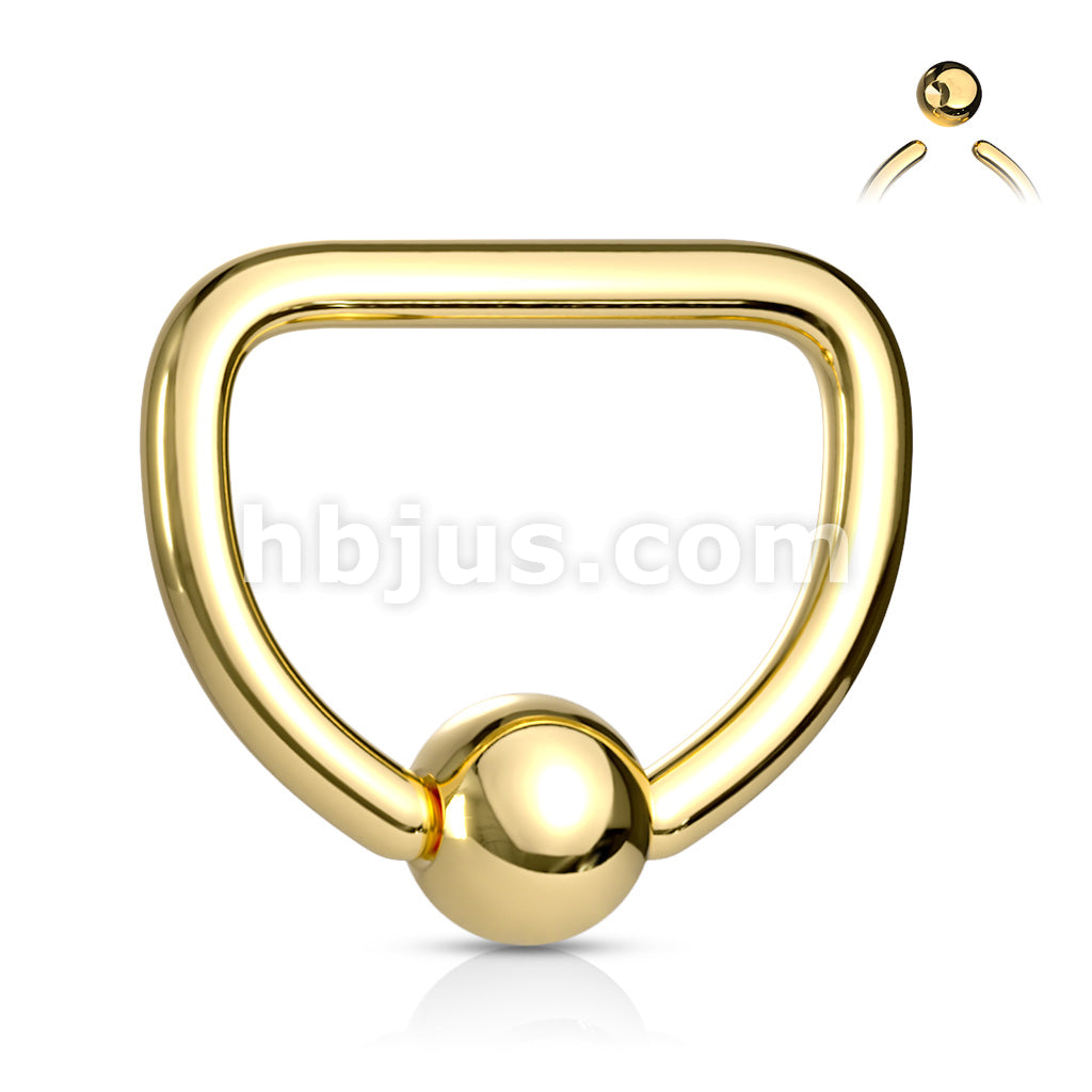 D Shaped PVD Plate Over 316L Surgical Steel Captive Bead Ring - Image 3