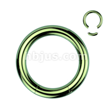 316L Surgical Steel Seamless Segment RingsTitanium Ion Plated Over 316L... - Image 4