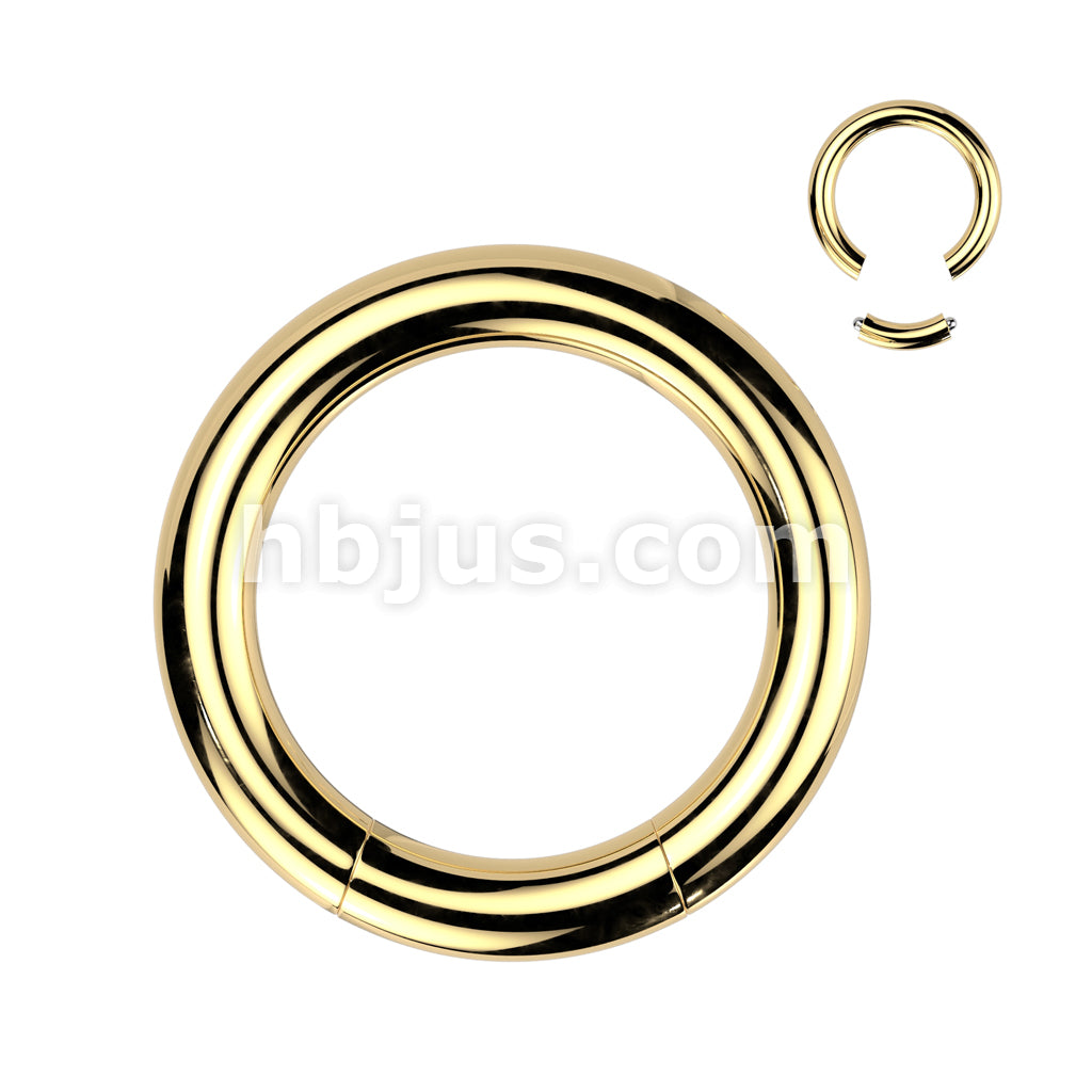 316L Surgical Steel Seamless Segment RingsTitanium Ion Plated Over 316L... - Image 5