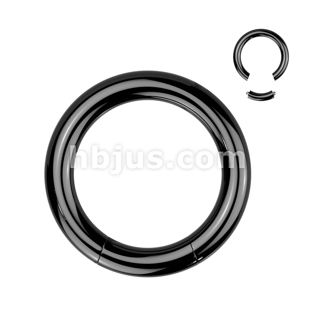 316L Surgical Steel Seamless Segment RingsTitanium Ion Plated Over 316L... - Image 6