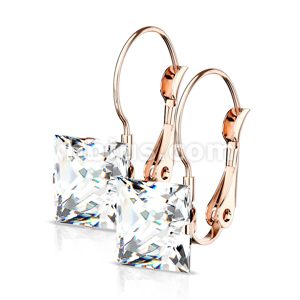 316L Surgical Steel Pair of Square CZ with Lever Back 316L Stainless... - Image 6