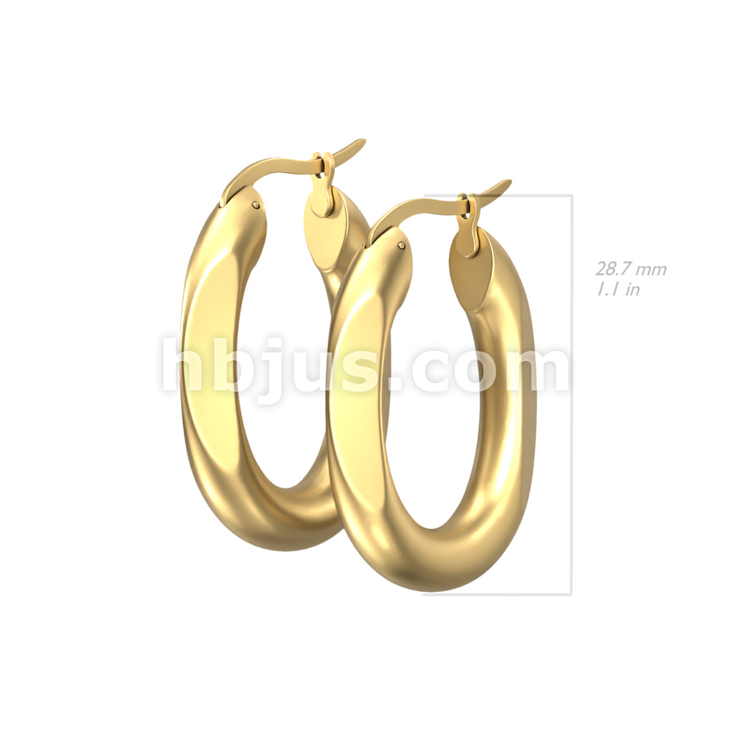 316L Surgical Steel Pair of 316L Stainless Steel Oval Hoop Earrings - Image 4