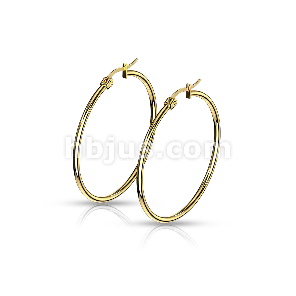 316L Surgical Steel Pair of Gold IP 316L Stainless Steel Round Hoop... - Image 10
