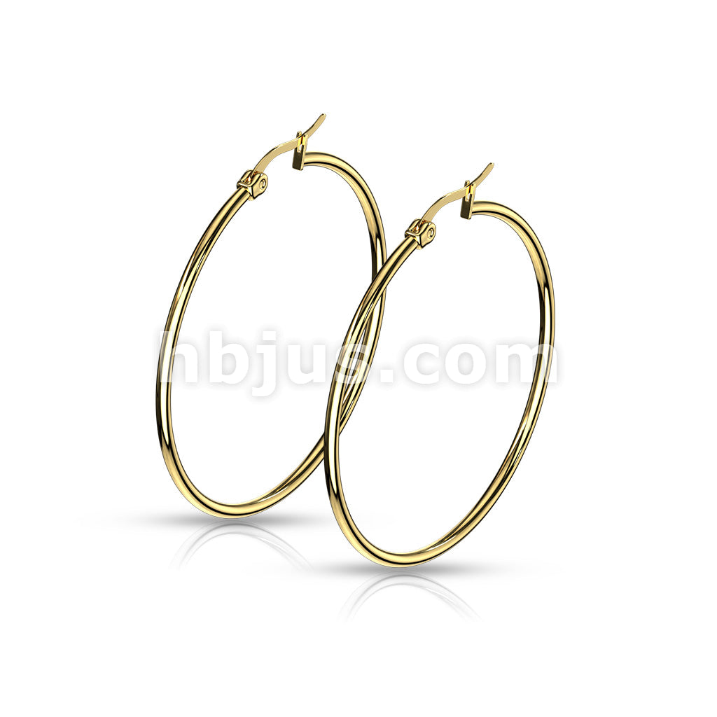316L Surgical Steel Pair of Gold IP 316L Stainless Steel Round Hoop... - Image 11