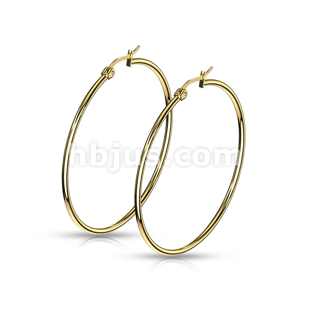 316L Surgical Steel Pair of Gold IP 316L Stainless Steel Round Hoop... - Image 12