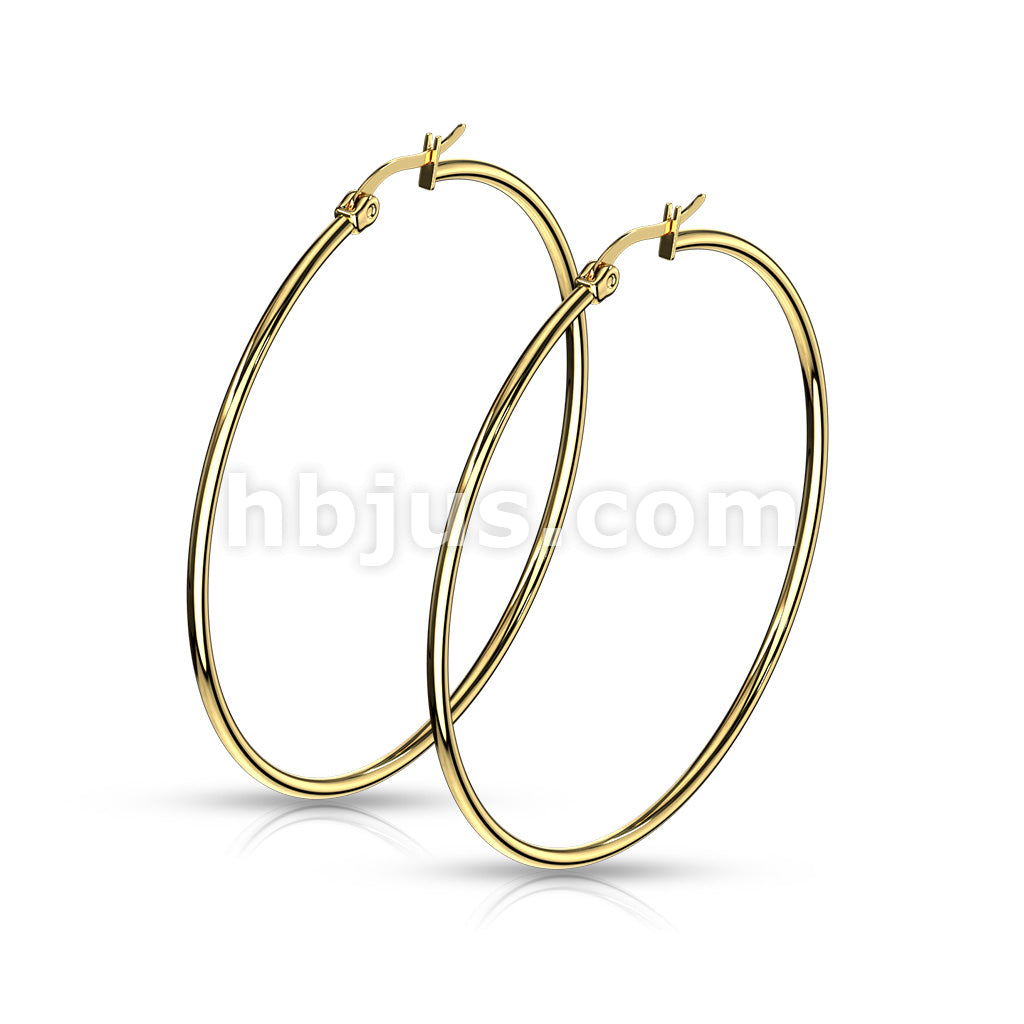 316L Surgical Steel Pair of Gold IP 316L Stainless Steel Round Hoop... - Image 13