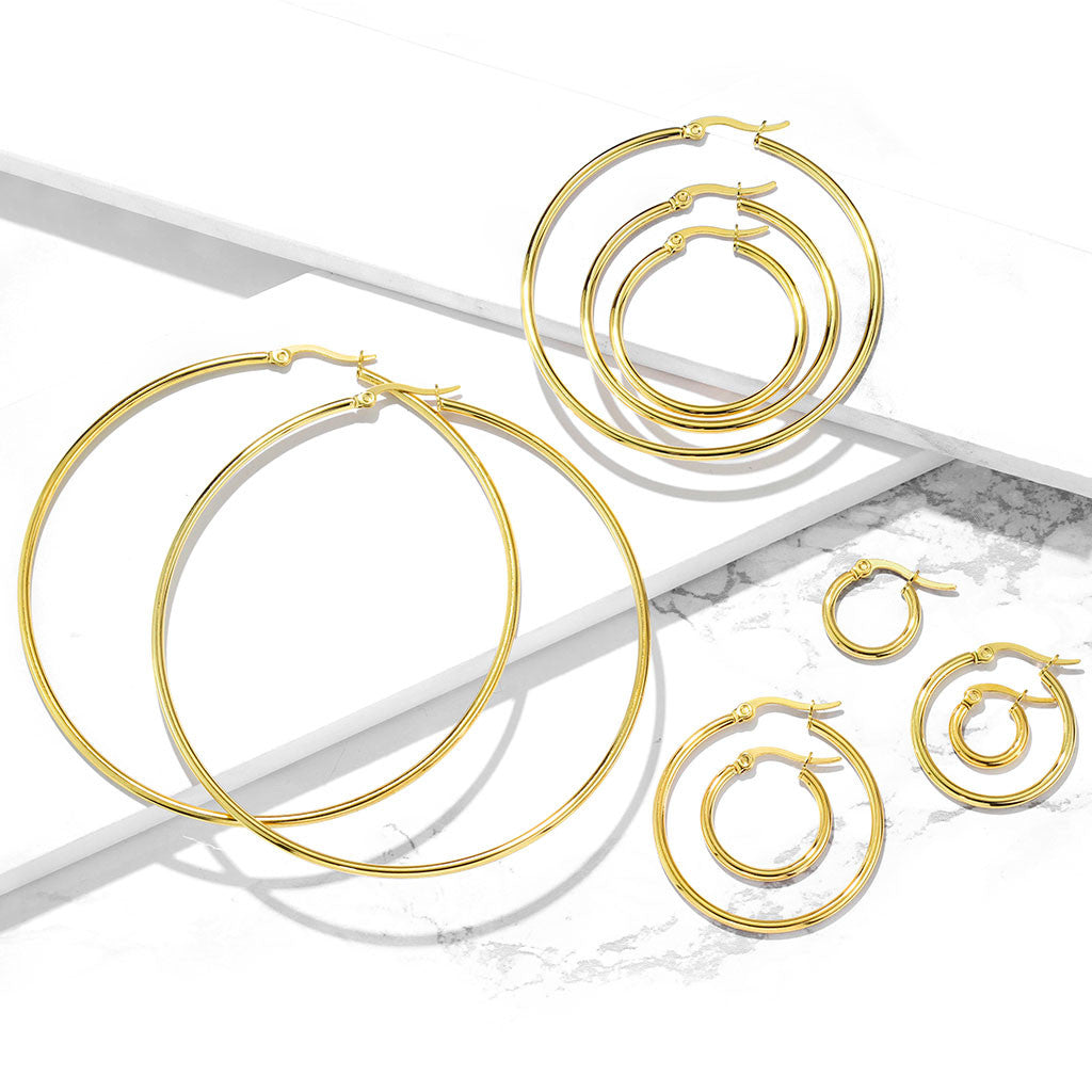 316L Surgical Steel Pair of Gold IP 316L Stainless Steel Round Hoop...