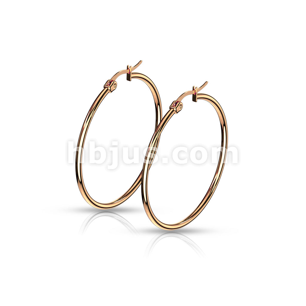 316L Surgical Steel Pair of Rose Gold IP 316L Stainless SteelRound Hoop... - Image 10