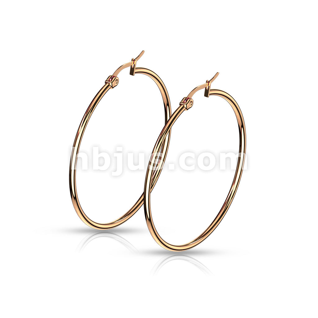316L Surgical Steel Pair of Rose Gold IP 316L Stainless SteelRound Hoop... - Image 11