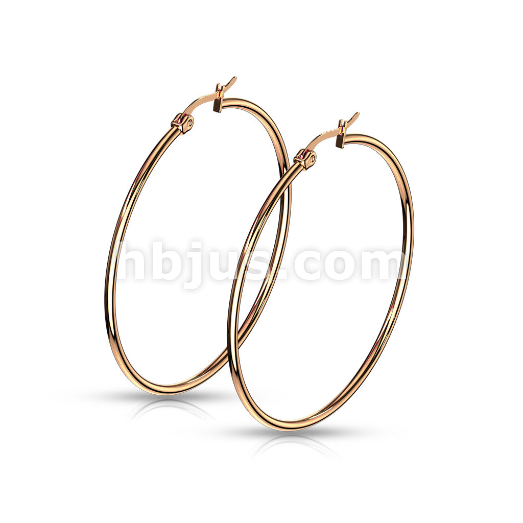 316L Surgical Steel Pair of Rose Gold IP 316L Stainless SteelRound Hoop... - Image 12