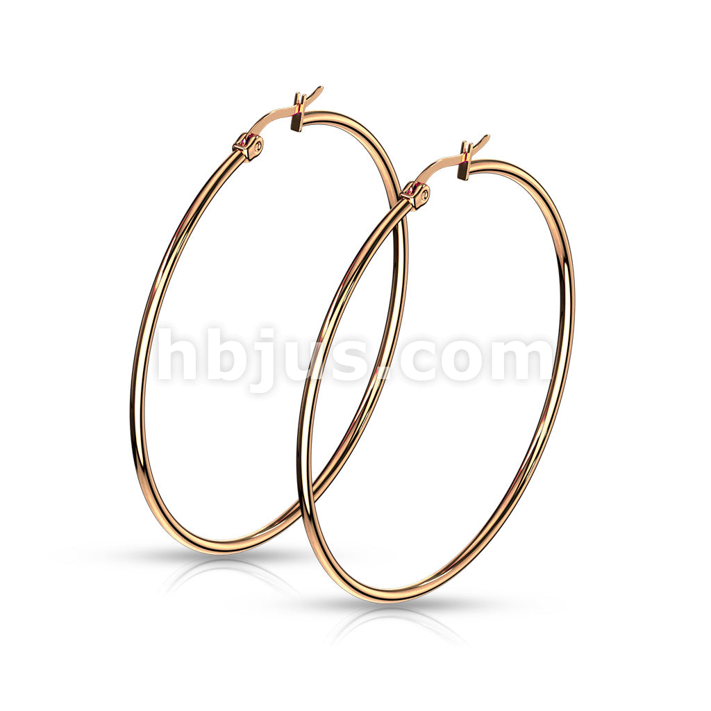 316L Surgical Steel Pair of Rose Gold IP 316L Stainless SteelRound Hoop... - Image 13