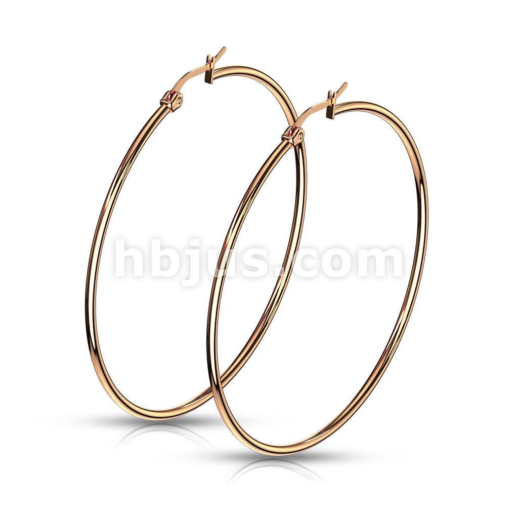 316L Surgical Steel Pair of Rose Gold IP 316L Stainless SteelRound Hoop... - Image 14