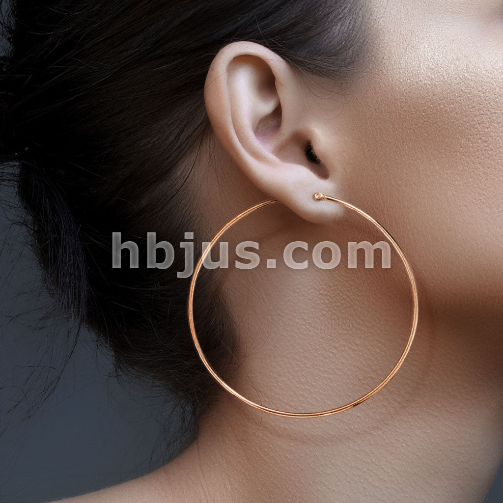 316L Surgical Steel Pair of Rose Gold IP 316L Stainless SteelRound Hoop... - Image 2