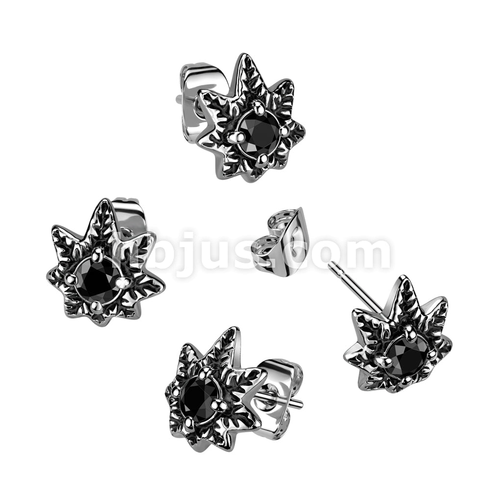 316L Surgical Steel Pair of 316L Surgical Stainless Steel Black CZ Pot...