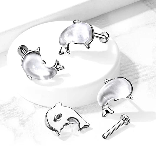 Shell Set Whale Top on Internally Threaded 316L Surgical Steel Flat...