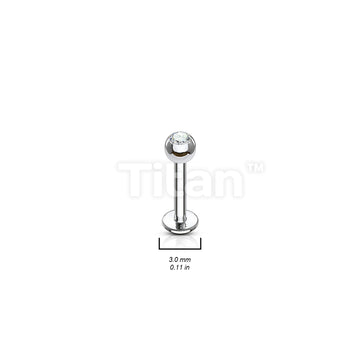 ASTM F136 Titanium Implant Grade Titanium Externally Threaded Press Fit... - Image 2