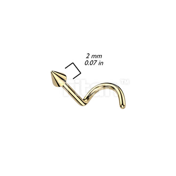 ASTM F136 Titanium Implant Grade Titanium Spike Nose Screw - Image 5