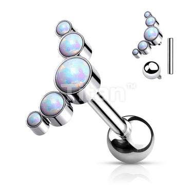 ASTM F136 Titanium Implant Grade Titanium Internally Threaded 5-Bezel... - Image 4
