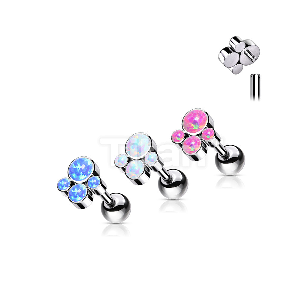 ASTM F136 Titanium Implant Grade Titanium Internally Threaded Cartilage... - Image 7