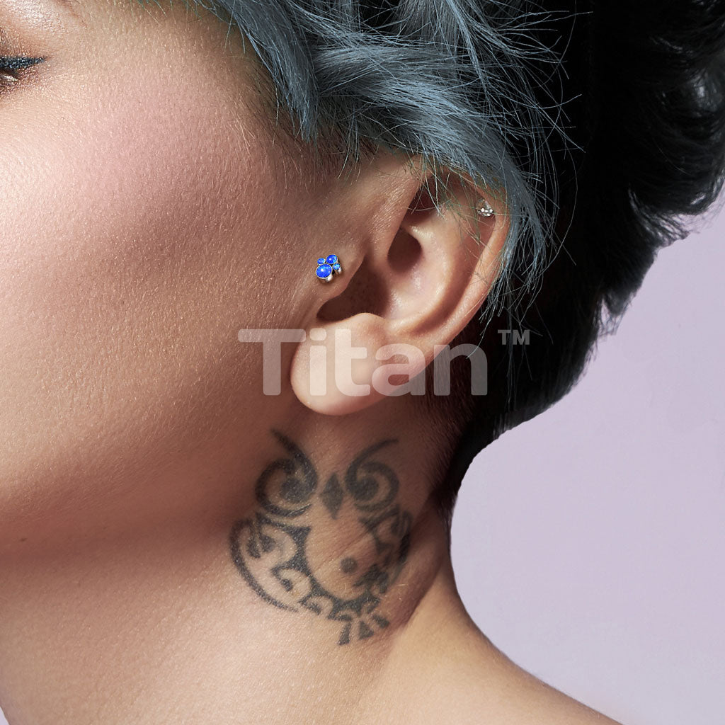 ASTM F136 Titanium Implant Grade Titanium Internally Threaded Cartilage... - Image 8