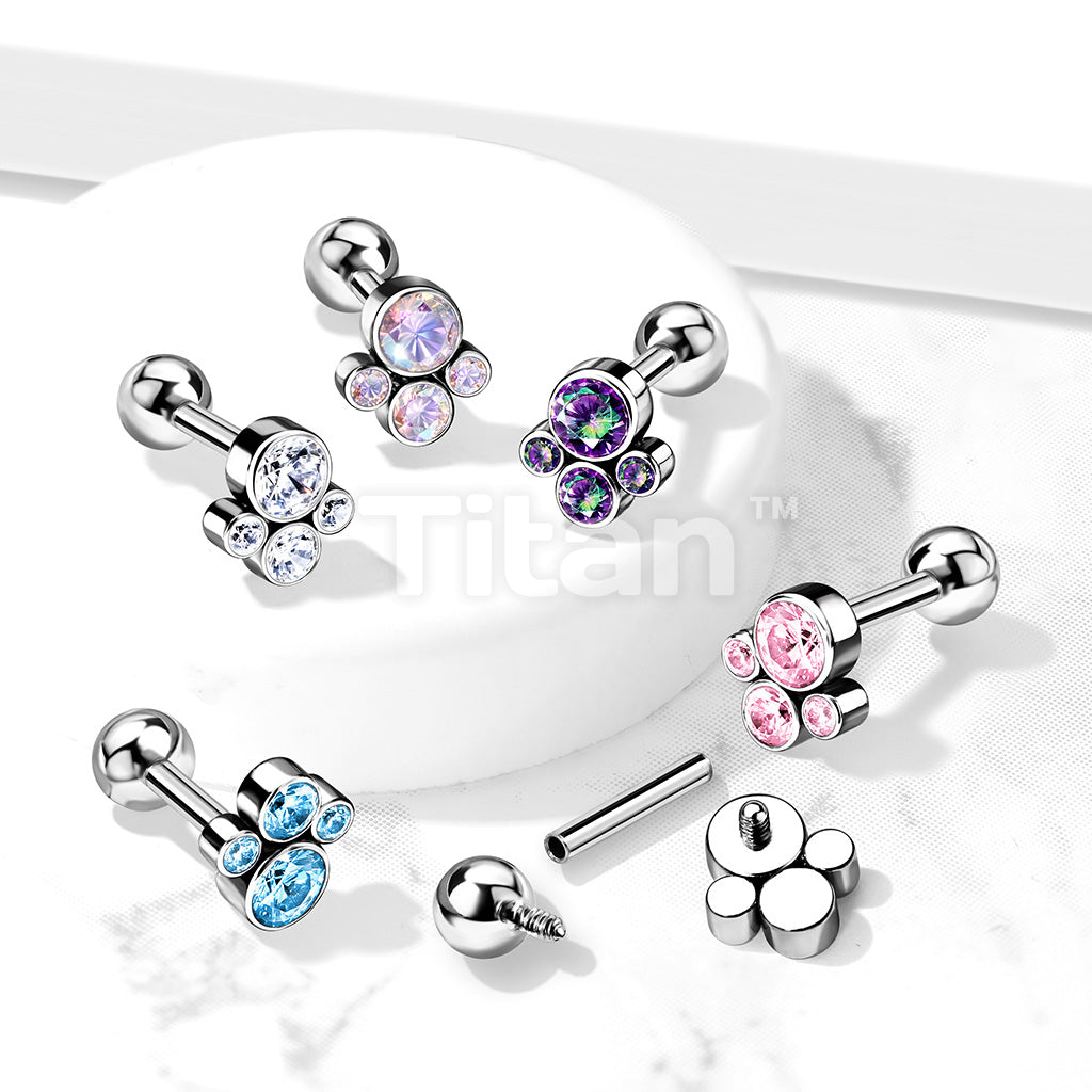 Implant Grade Titanium Internally Threaded Cartilage Barbells With Bezel Set CZ Cluster Top