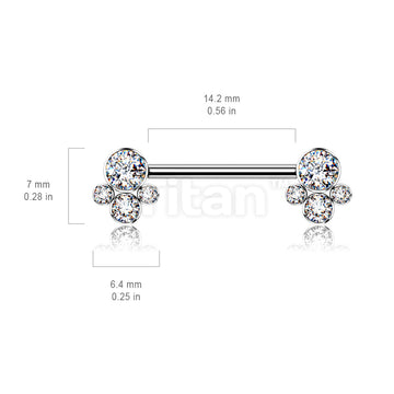 Implant Grade Titanium Internally Threaded Nipple Barbell With 4 Bezel Set Cluster CZ Ends - Image 7