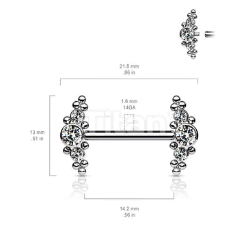 Implant Grade Titanium Internally Threaded Nipple Barbell With Bezel Set CZ and Micro Ball Clusters - Image 6