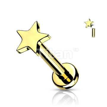 ASTM F136 Titanium Implant Grade Titanium Internally Threaded Star Top... - Image 3