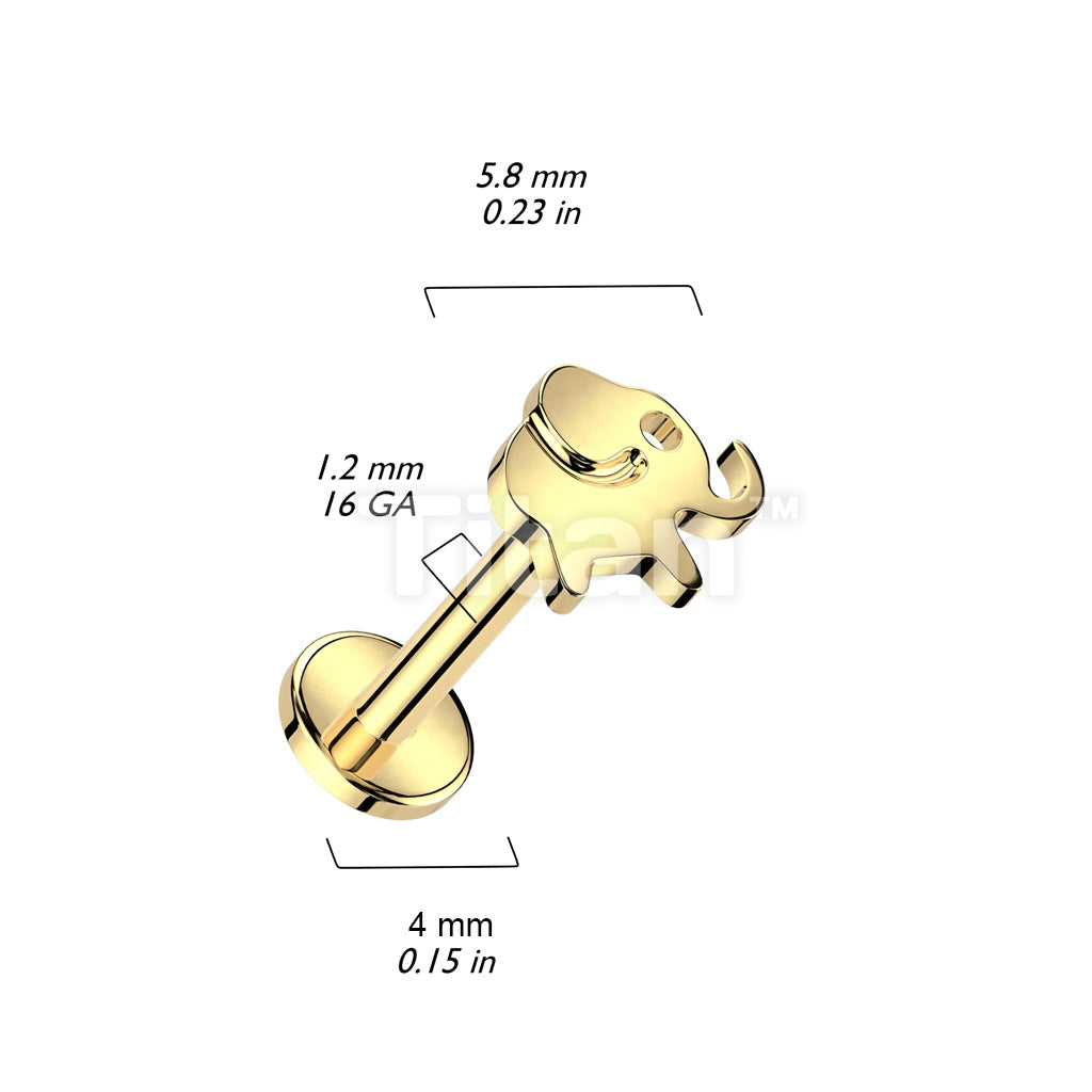 Implant Grade Titanium Internally Threaded Labret With Elephant Top - Image 4
