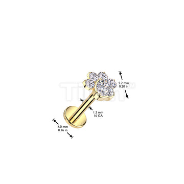 Implant Grade Titanium Internally Threaded Flat Back Stud With CZ Heart And 4 CZ Paw Top - Image 5