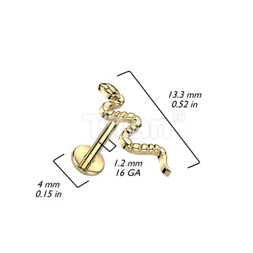 Implant Grade Titanium Internally Threaded Labret With Snake Top - Image 5