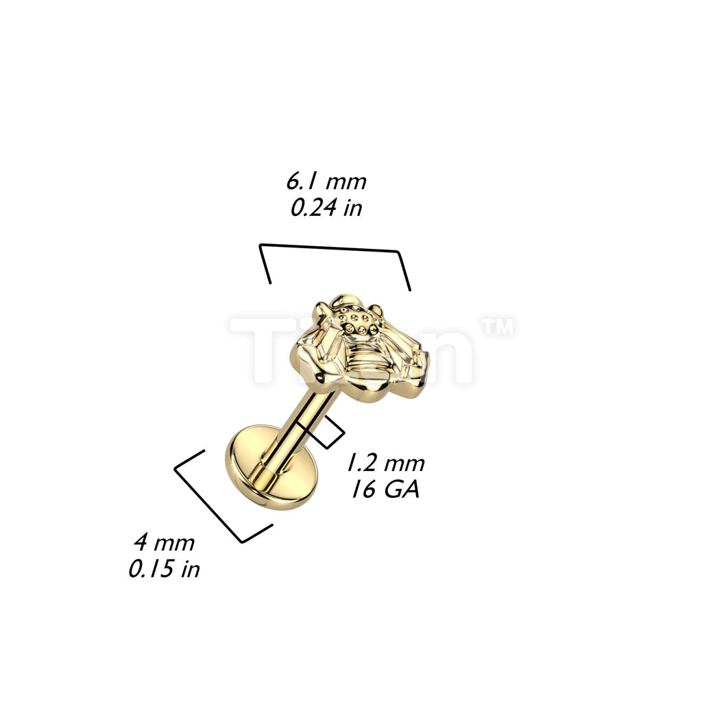 Implant Grade Titanium Internally Threaded Labret With Bee Top - Image 4