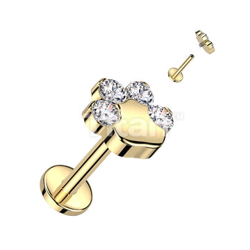 Implant Grade Titanium Internally Threaded Labret With CZ Paw Top - Image 3