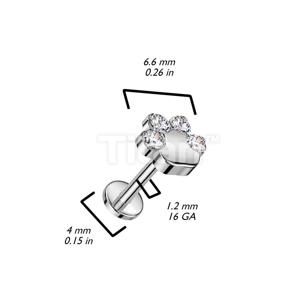 Implant Grade Titanium Internally Threaded Labret With CZ Paw Top - Image 4