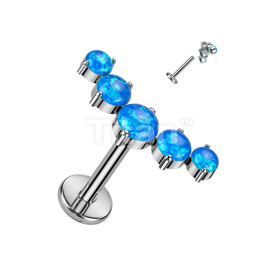 Implant Grade Titanium Internally Threaded With 5 Round Opal Curved Top - Image 3