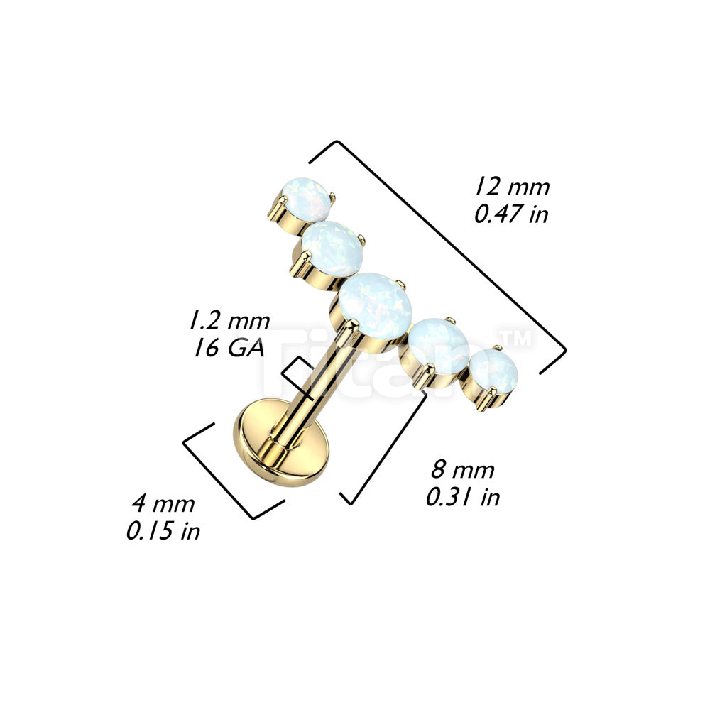 Implant Grade Titanium Internally Threaded With 5 Round Opal Curved Top - Image 6