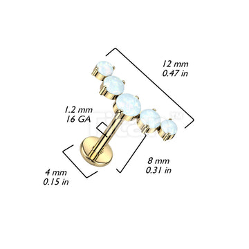 ASTM F136 Titanium Implant Grade Titanium Internally Threaded With 5... - Image 6