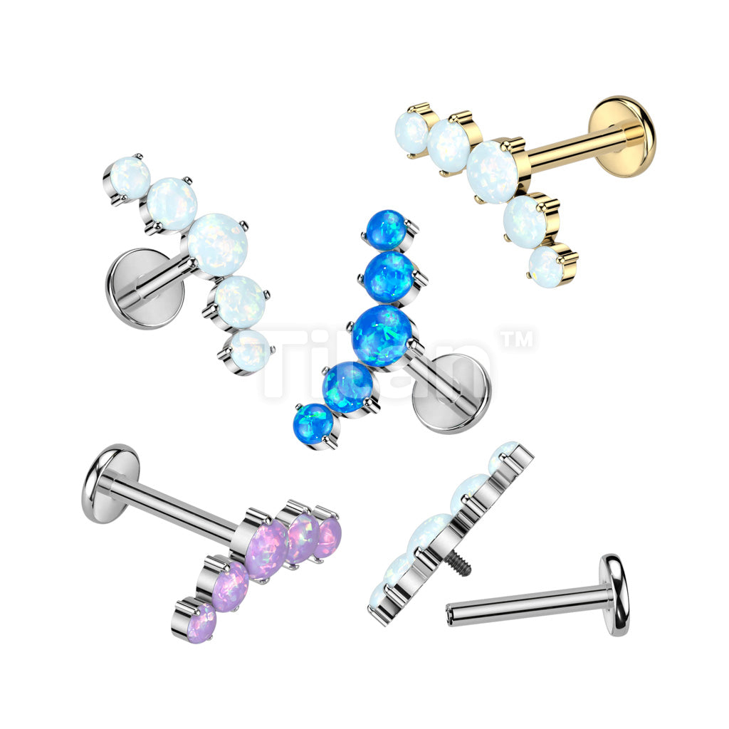 ASTM F136 Titanium Implant Grade Titanium Internally Threaded With 5...